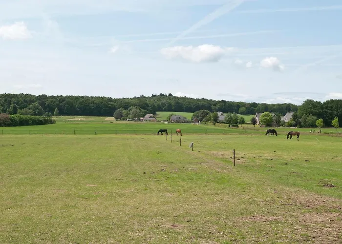 De Korenhorst * Zeddam